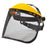 Browguard with Mesh Visor