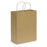 Paper Carry Bag - Large