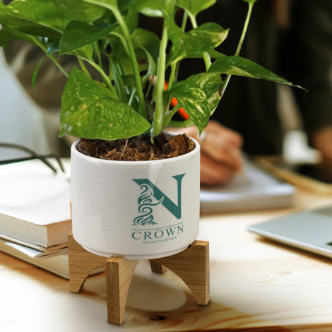 Planter with Bamboo Base