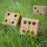 Wooden Yard Dice Game